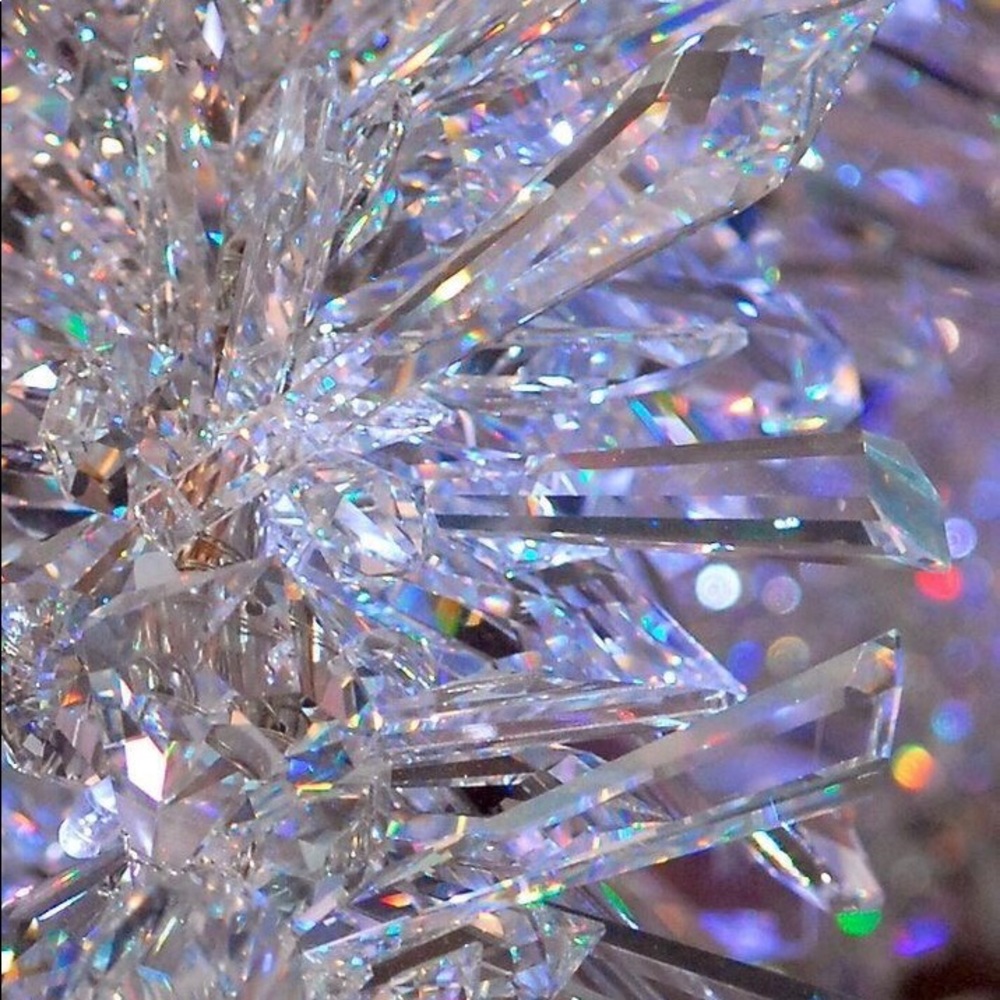 Meet your Posher, Diana